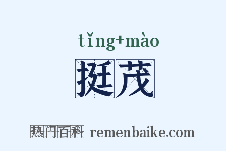 挺茂是什么意思的图片